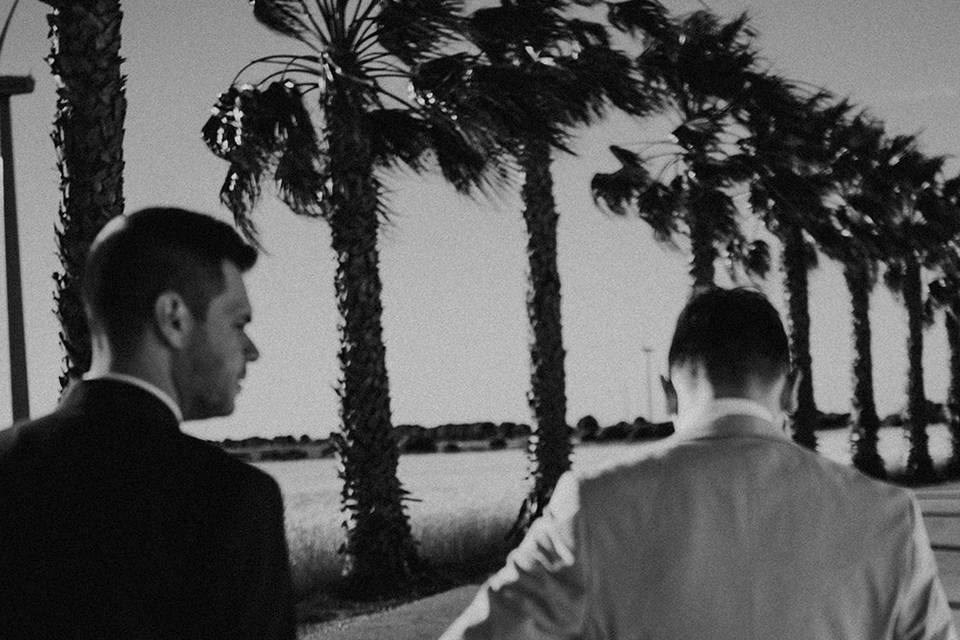 Bodas