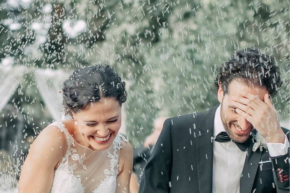 Bodas