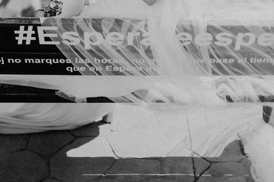 Bodas