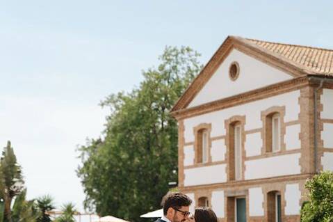 Novios