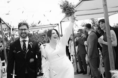 Novios