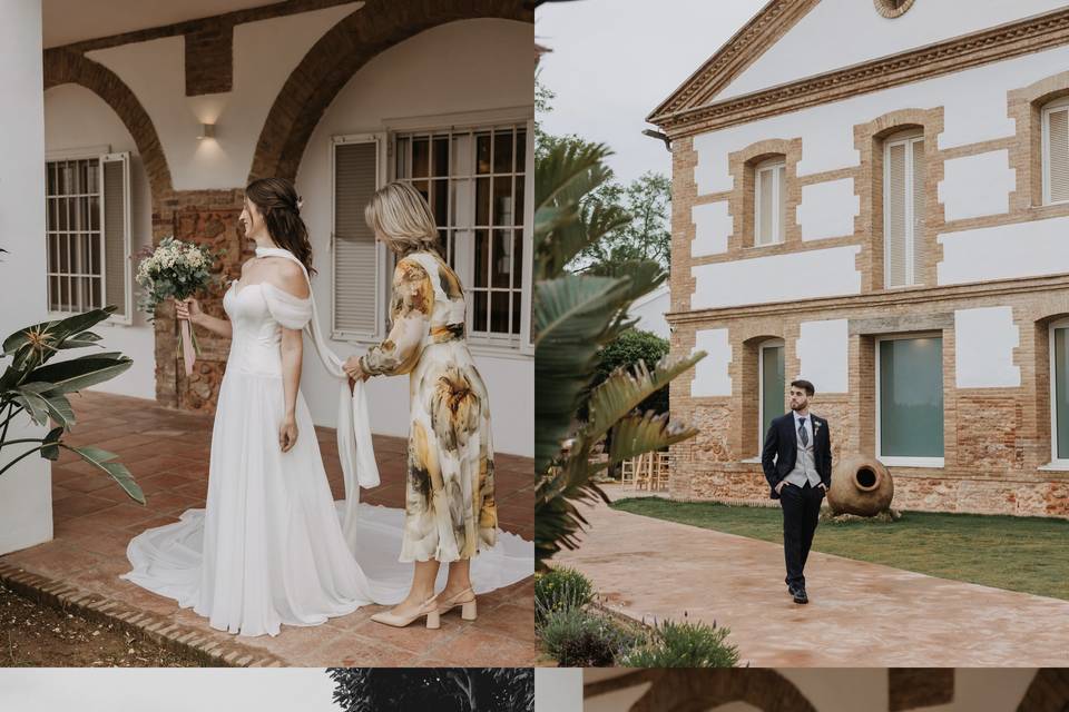 Novios