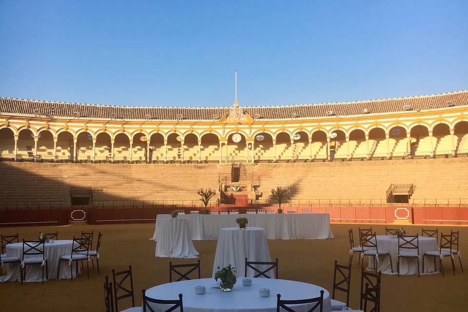 El ruedo, recepción de boda