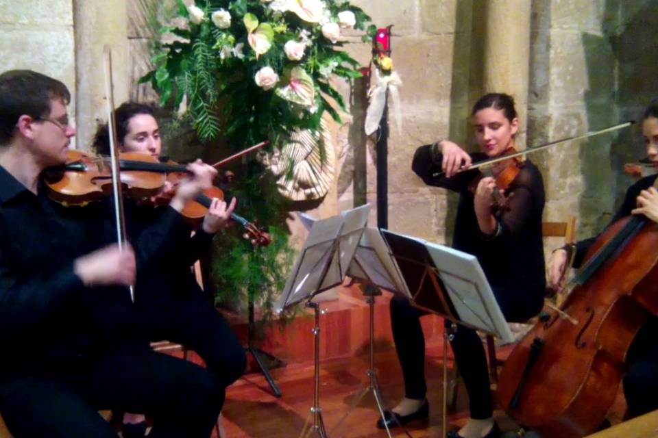 Dúo de violín y chelo