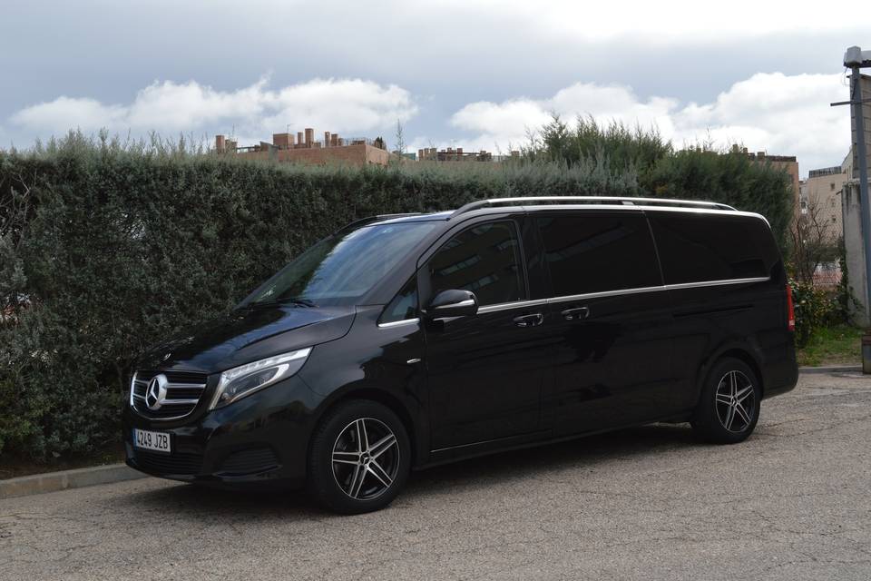 Mercedes Viano