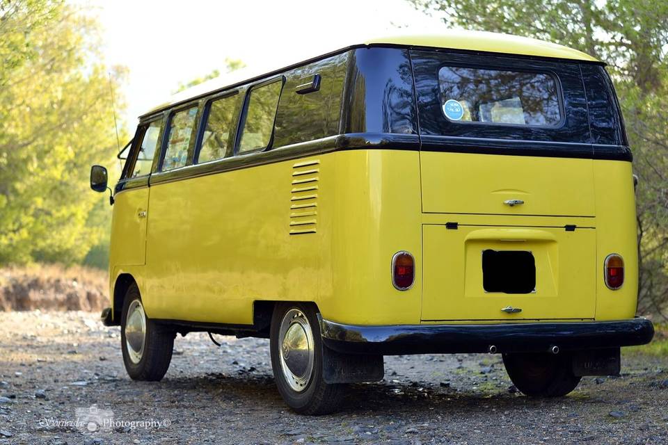 VW T1