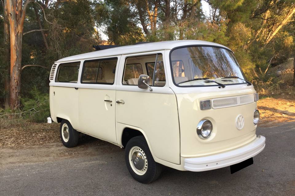 VW T1