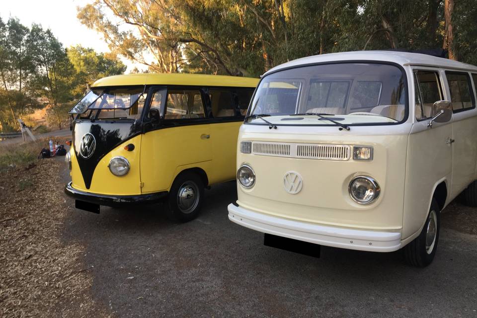 VW T1