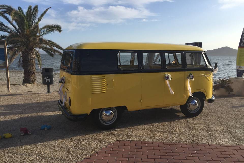 VW T1