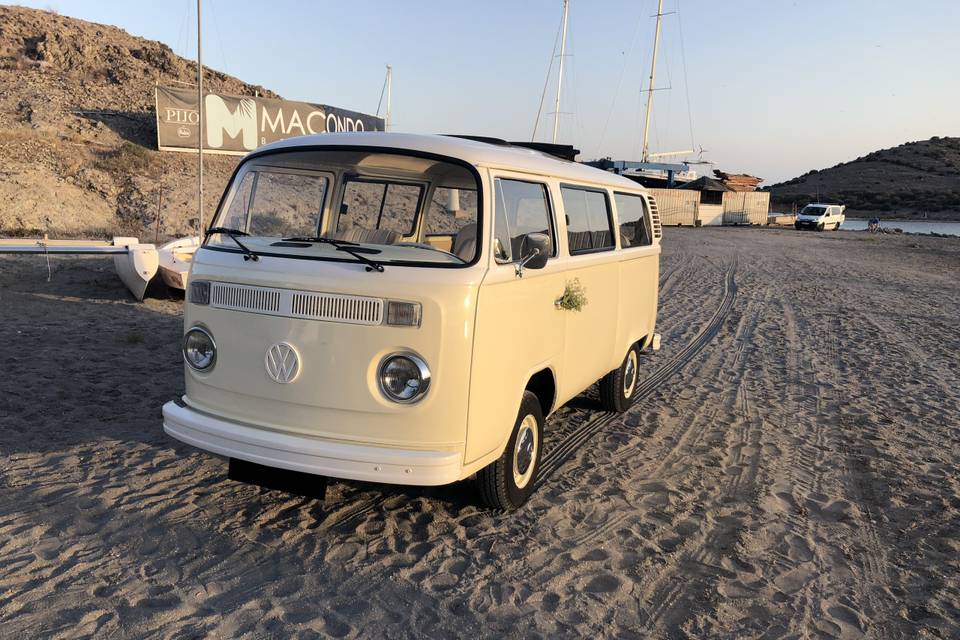 VW T1