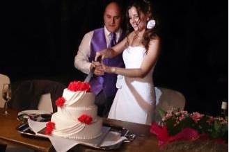 Novios con tarta rosas