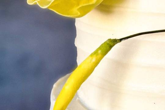 Delicadeza
