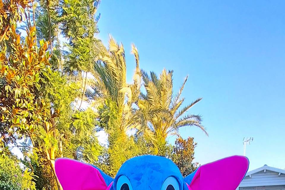 STITCH