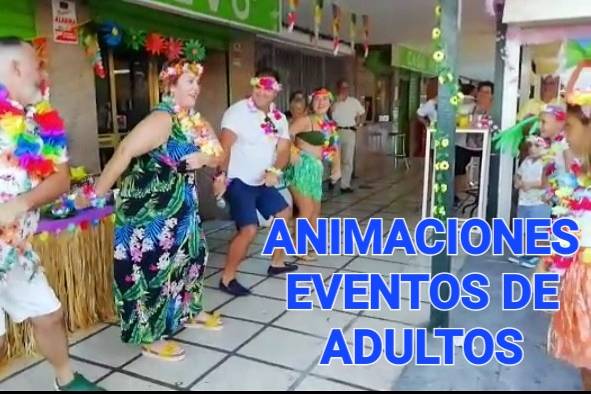 Animacion adultos