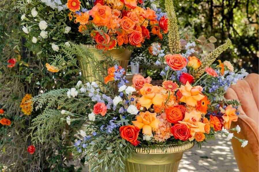 Flores colores