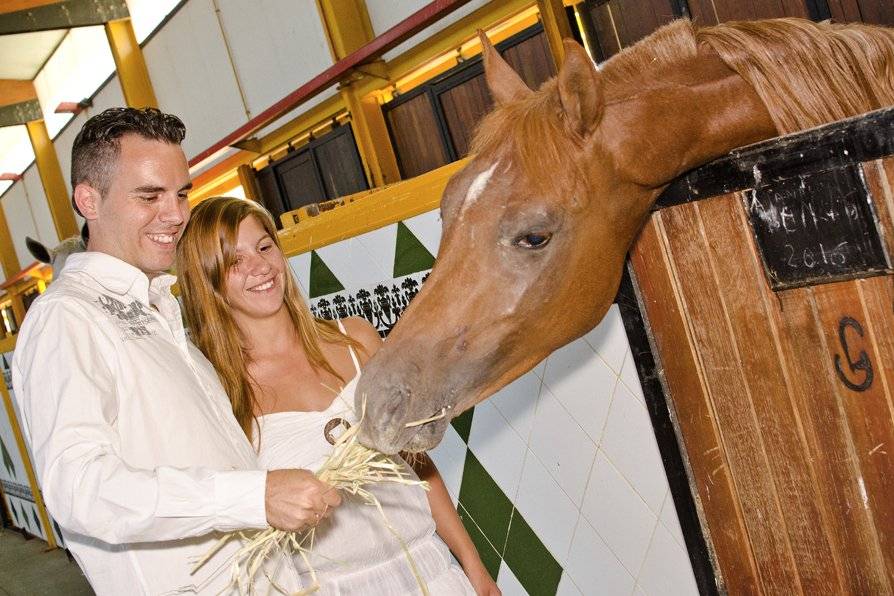 Sesión postboda