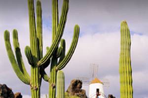 Lanzarote