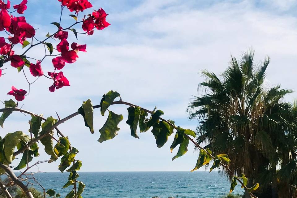 Ceremonia frente al mar