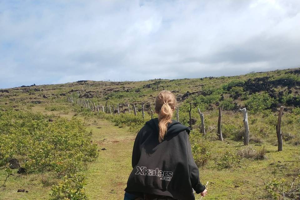 Excursión a caballo en uruguay