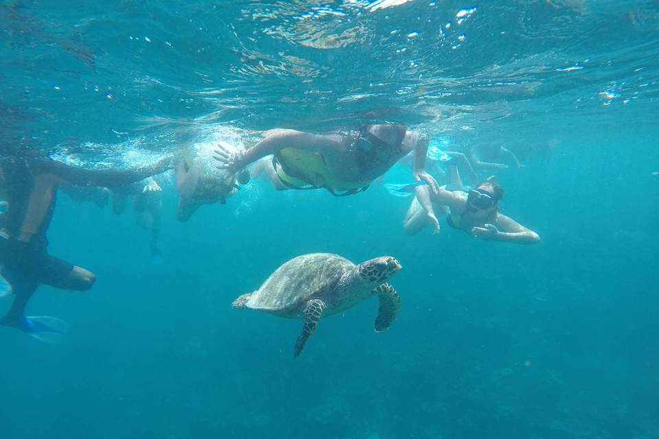 Snorkel en argentina