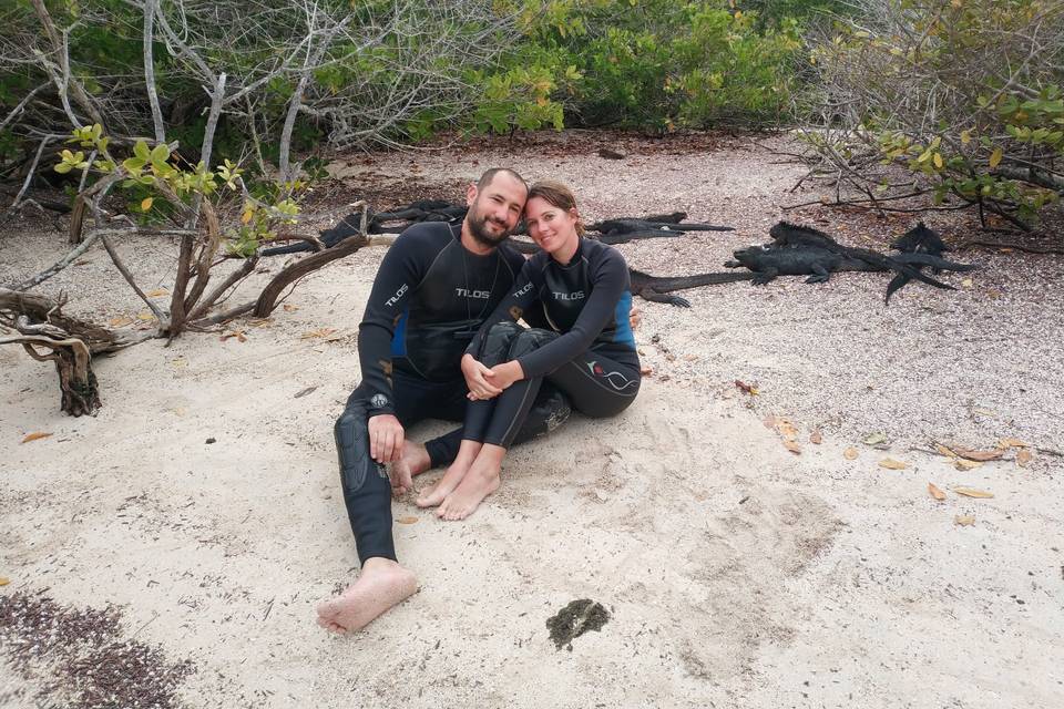 Snorkel entre iguanas negras