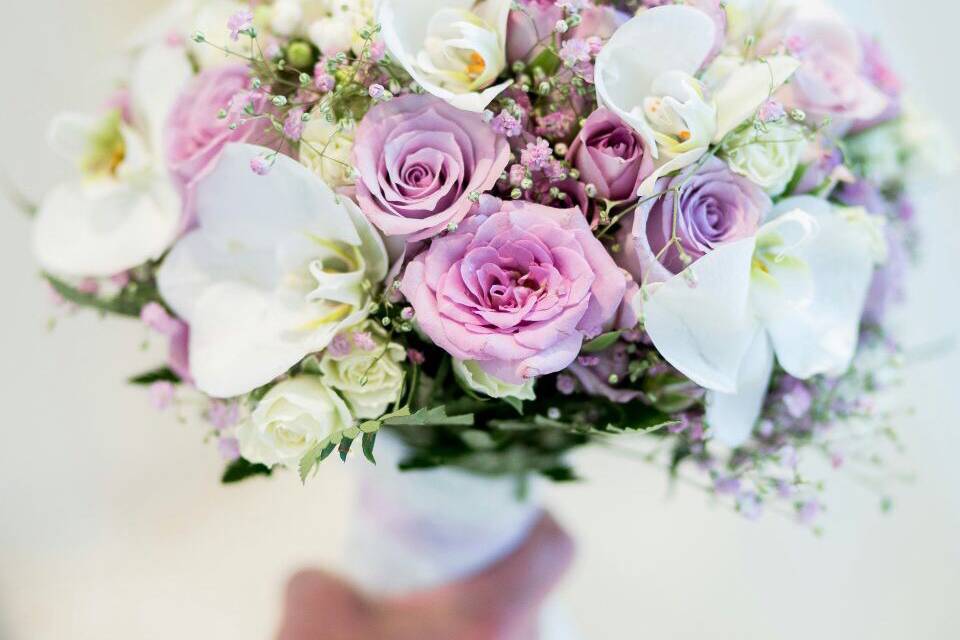 Orquídeas y rosas pitimini