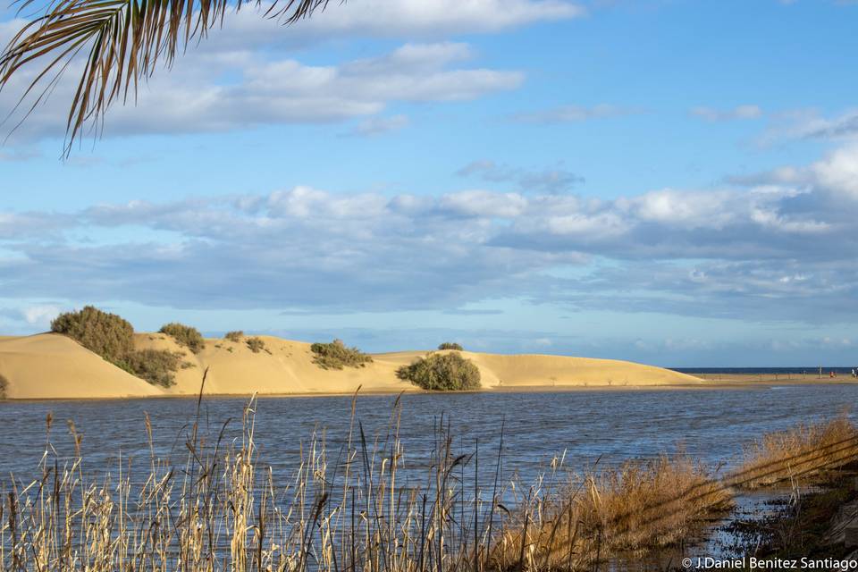 Dunas de maspalomas