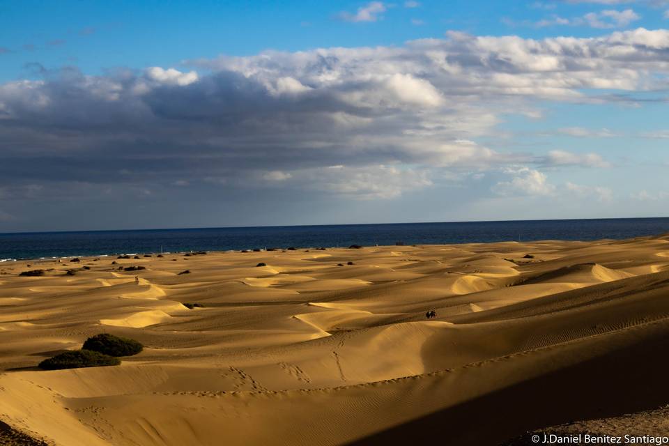 Dunas atardeciendo