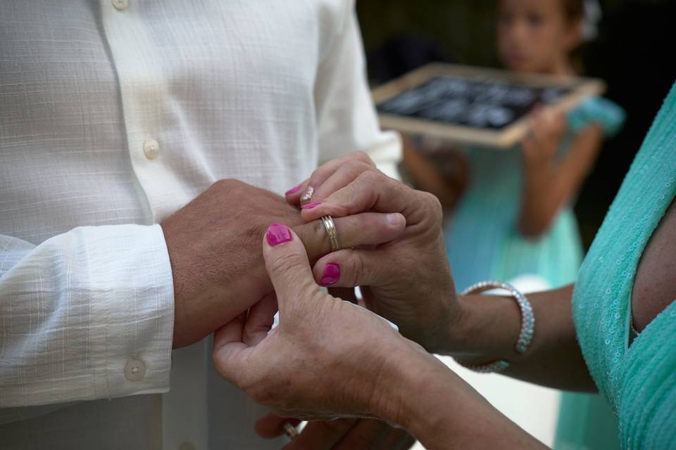 La boda de Antonio y Yolanda