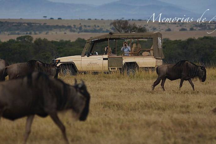 Memorias de África