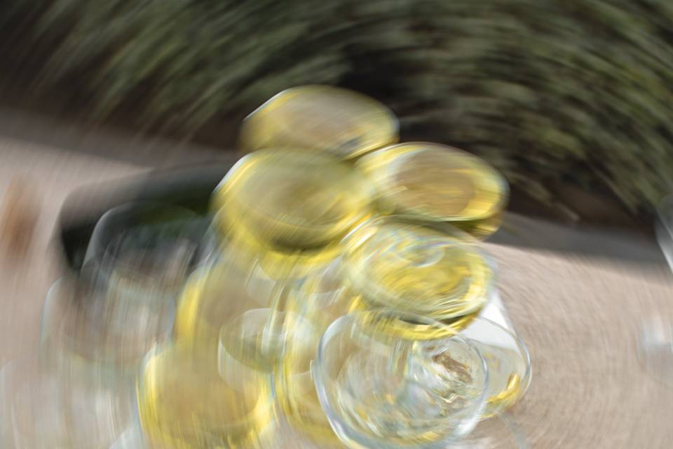 Captura la belleza del momento