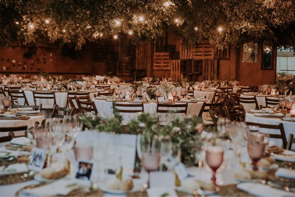 Comedor