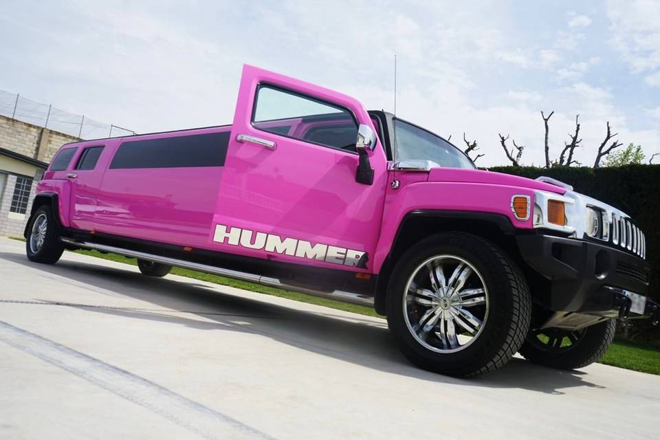 Hummer rosa