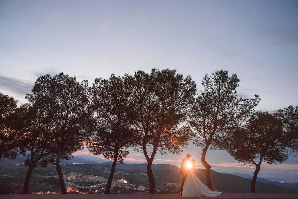 Fotos de la boda