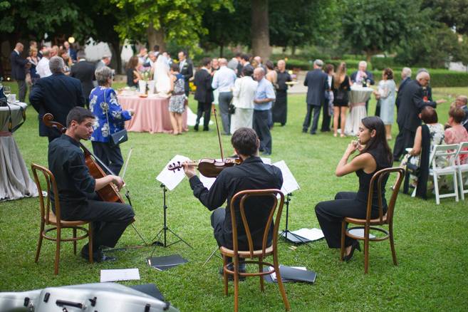 Amenización de aperitivo