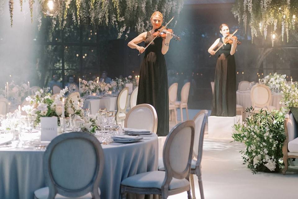 Violines