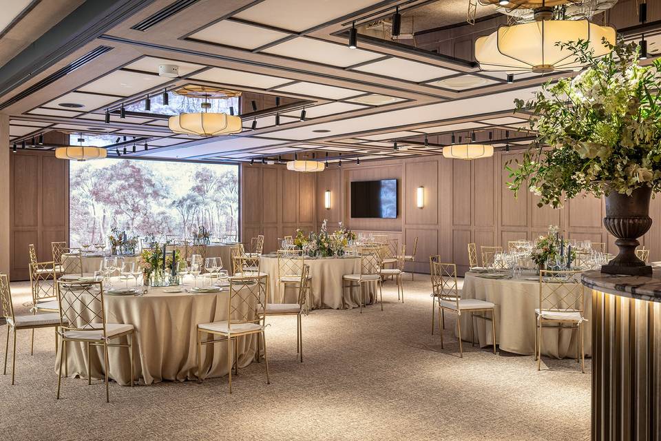 Salamanca Banquete