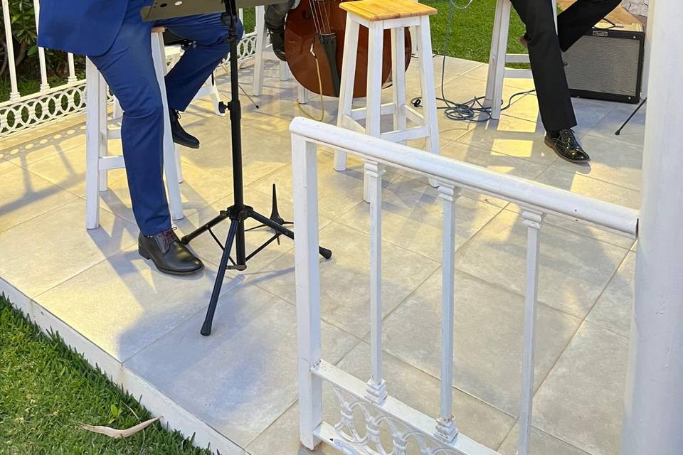 Orquesta boda civil