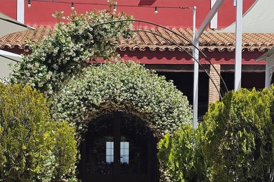 Entrada
