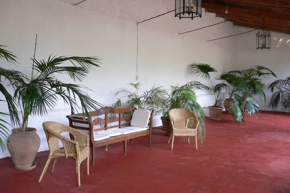 Galería de las palmeras