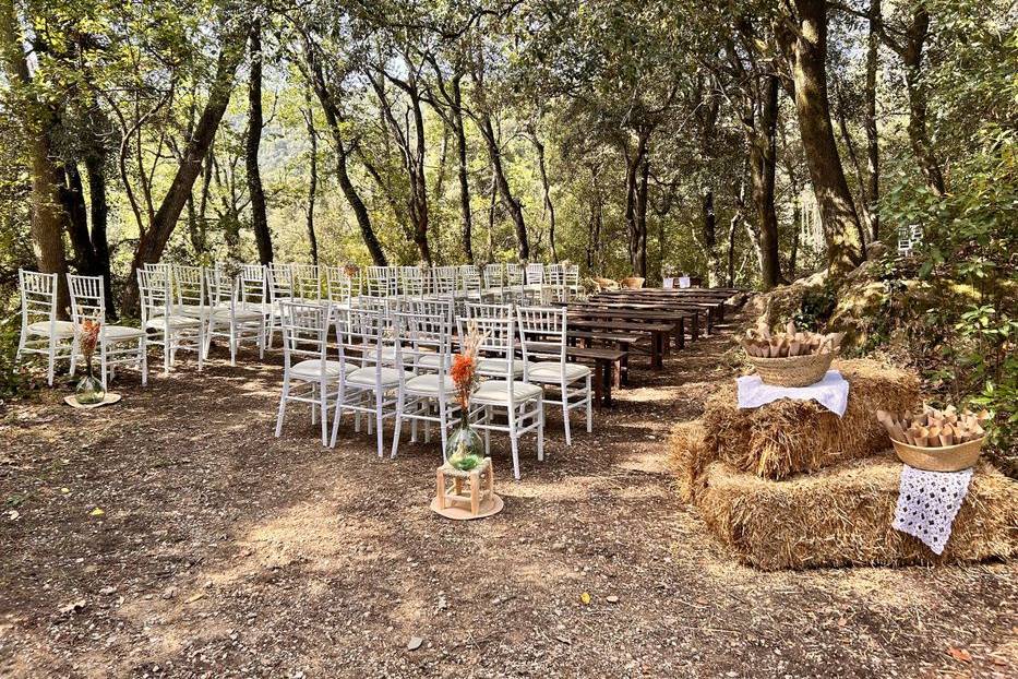 Ceremonia en el bosque