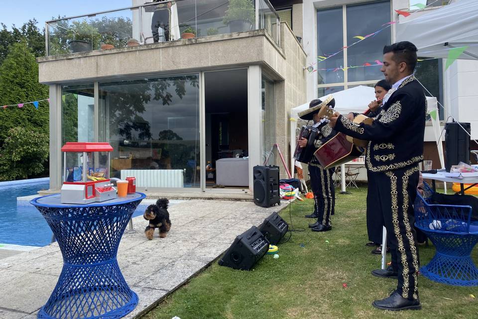 Mariachi Galicia es Mexico