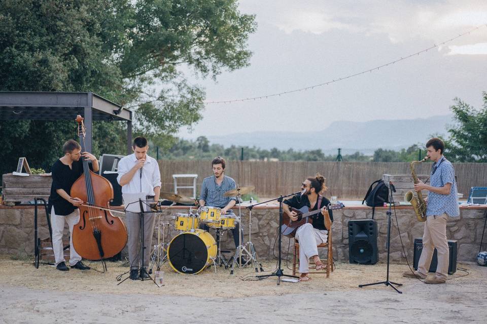 Velvet Vintage Orchestra