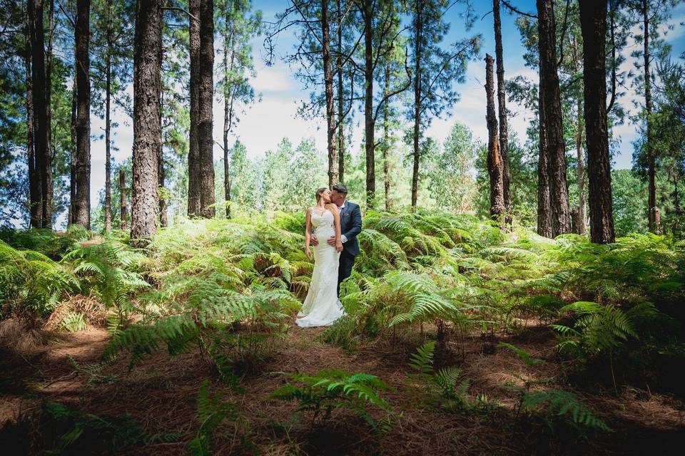 Posboda de tenerife