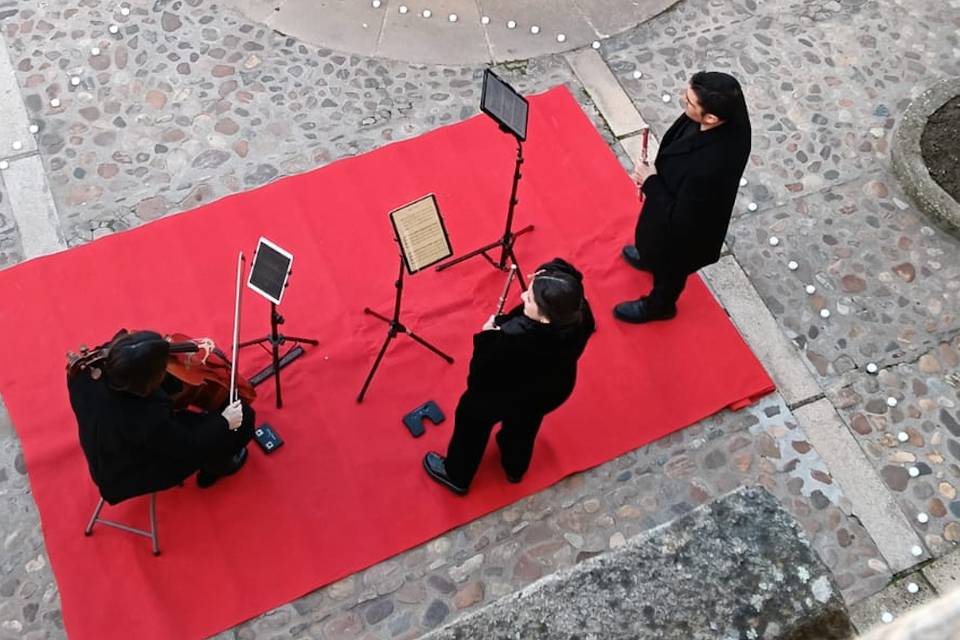 Preparados