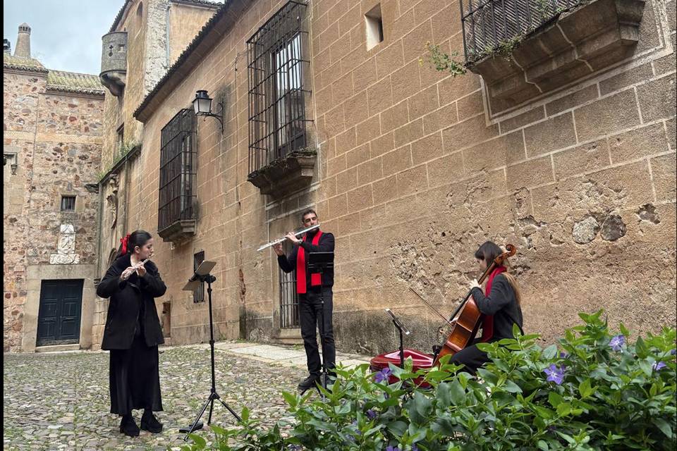 Rincones musicales
