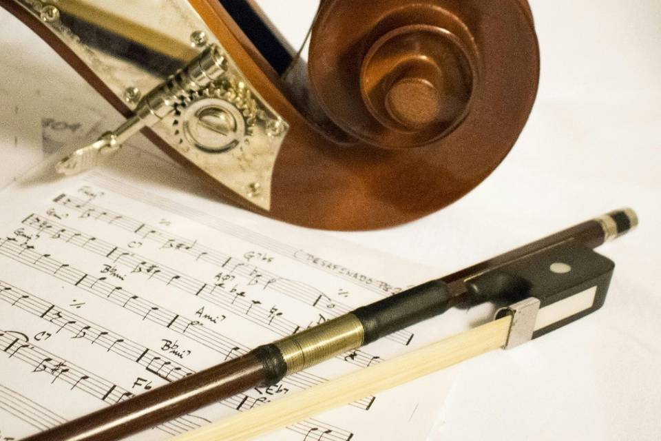 Puede ir acompañada con Violín