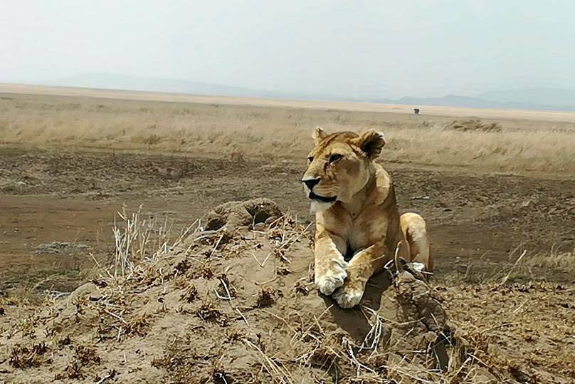 Especialistas en Tanzania