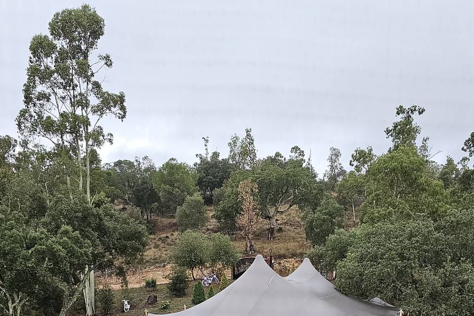 Montaje