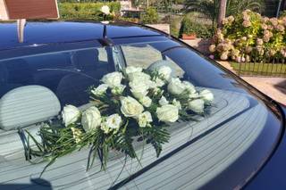 Flores Berta